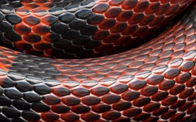 Cobra Venom – The Serum of the Serpent in mRNA Vaccines
